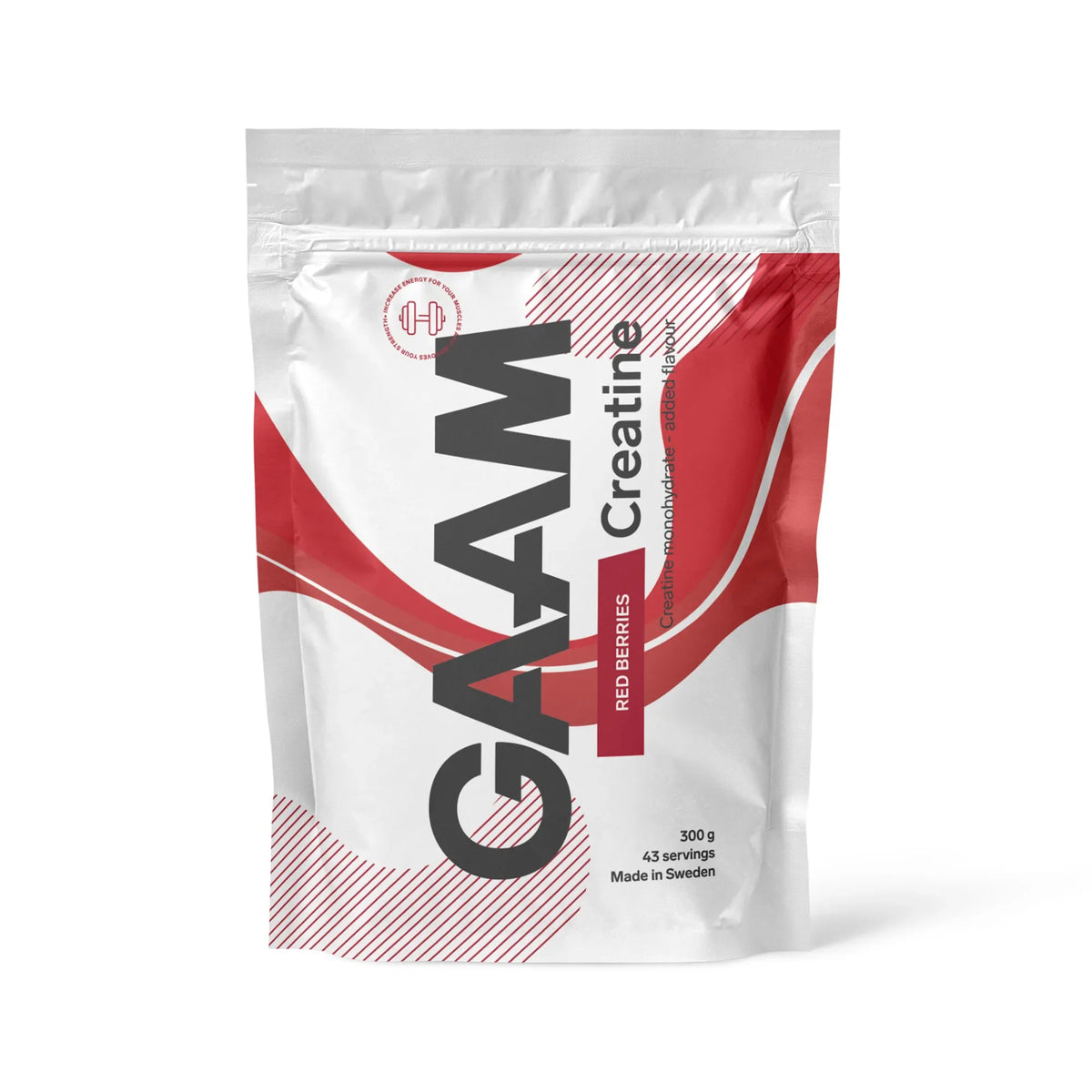GAAM Creatine 300 g