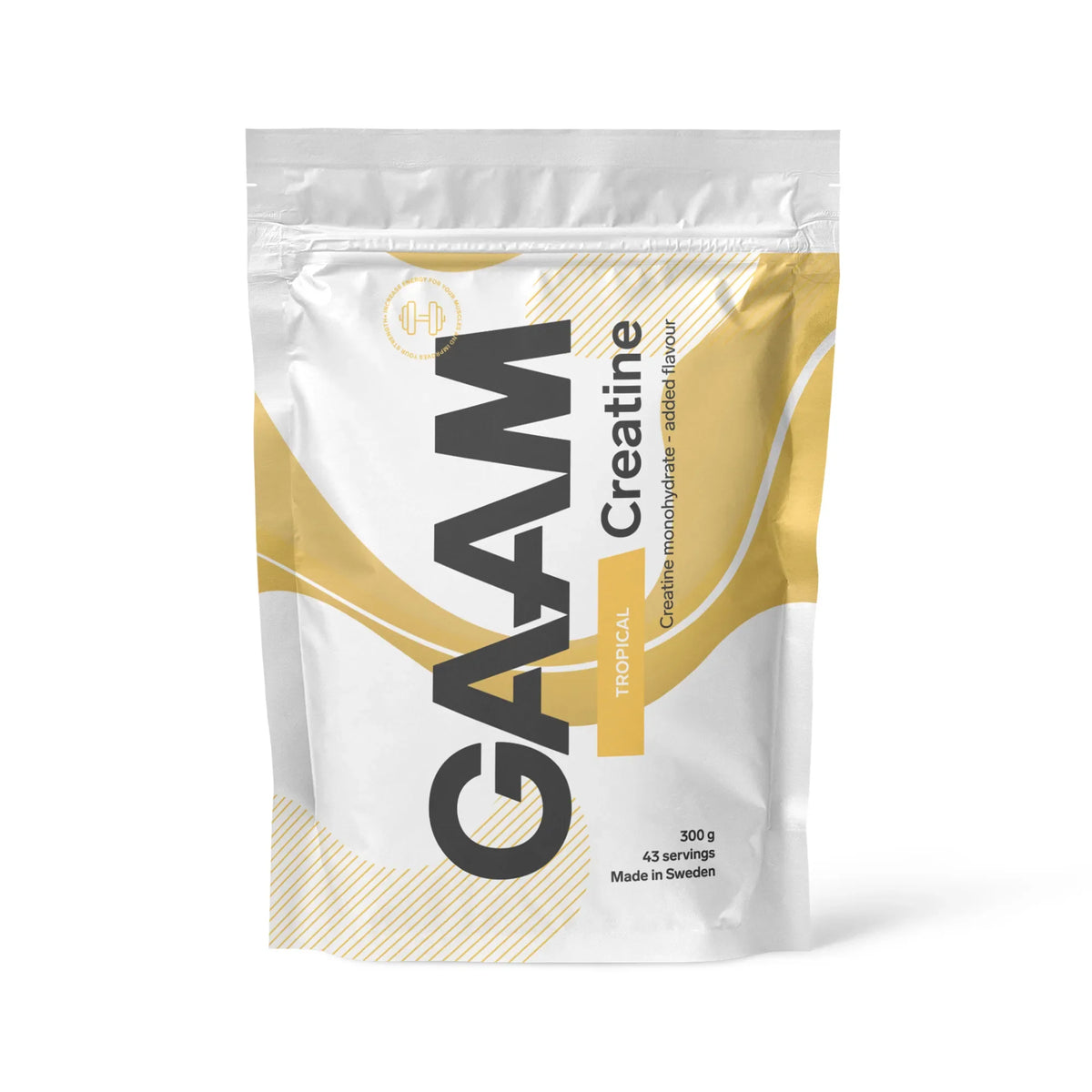 GAAM Creatine 300 g